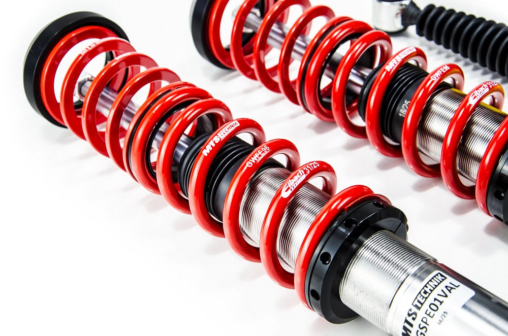 MTS Technik koiloveri Street Inox - Peugeot 206 Hatchback (2A/C)